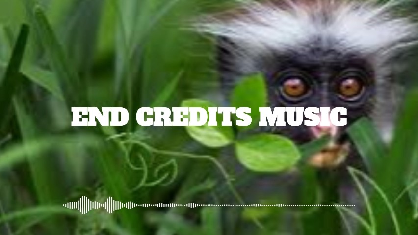 End Credit Music