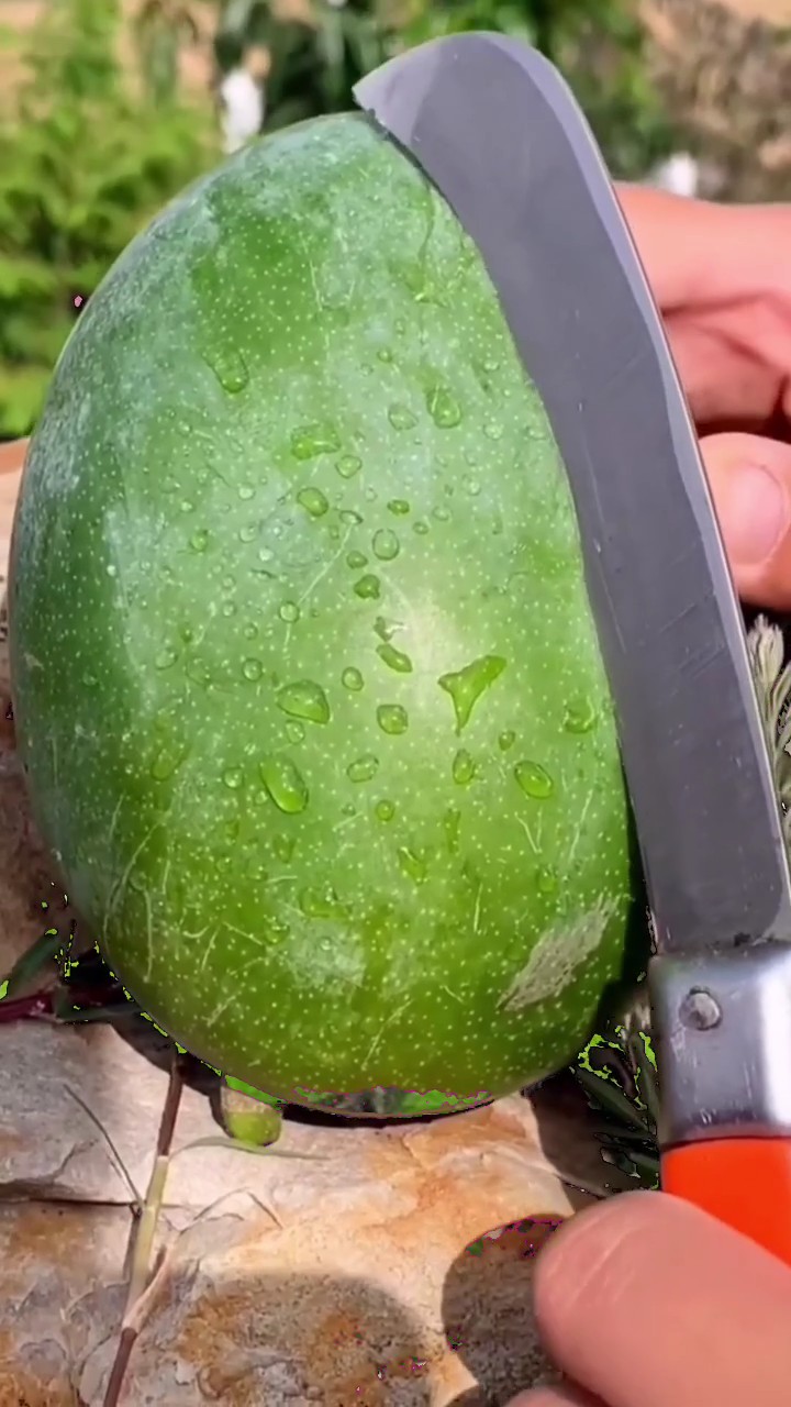 satisfying fruit cutting (free surprise!)