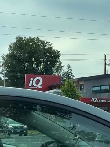 IQ