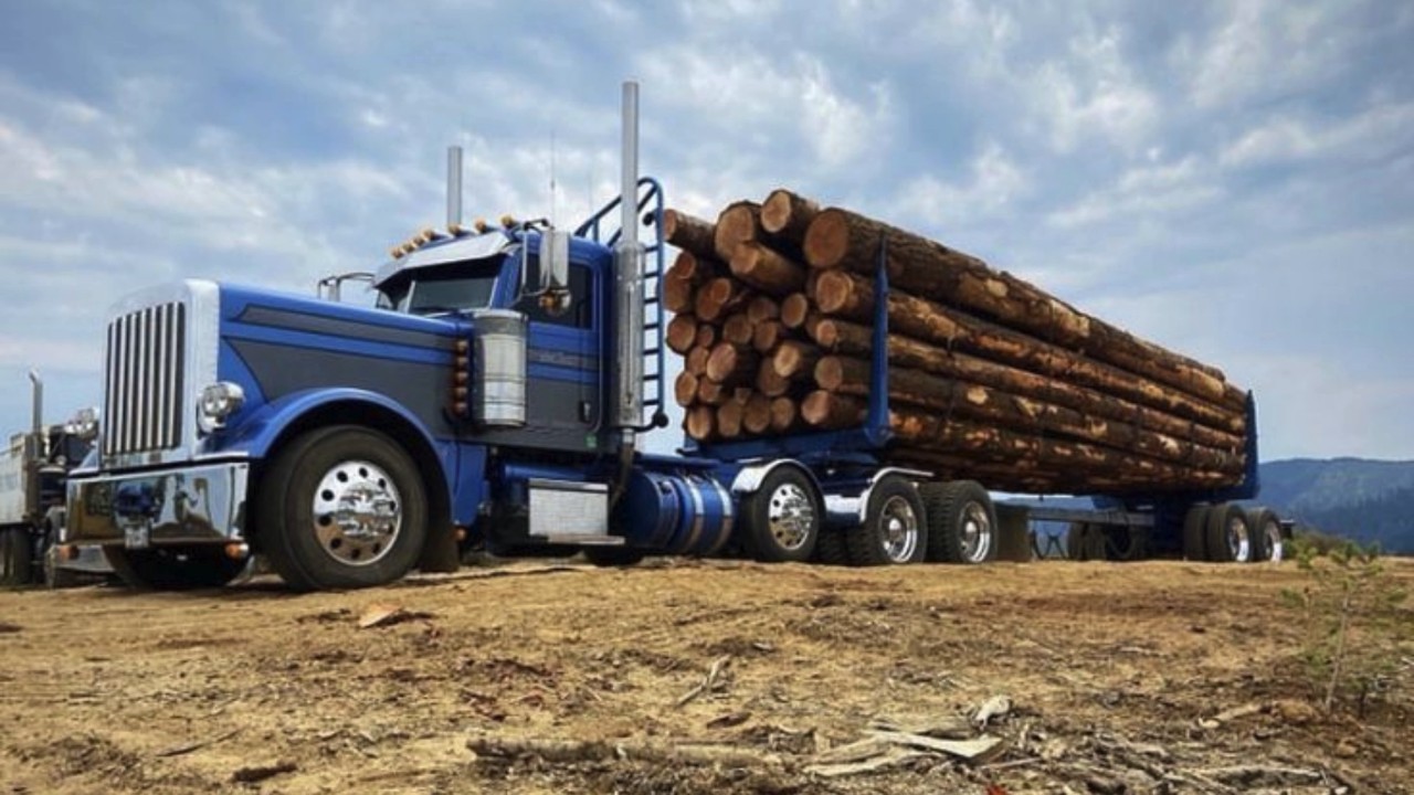 Mud Logs and Grit Logging MV